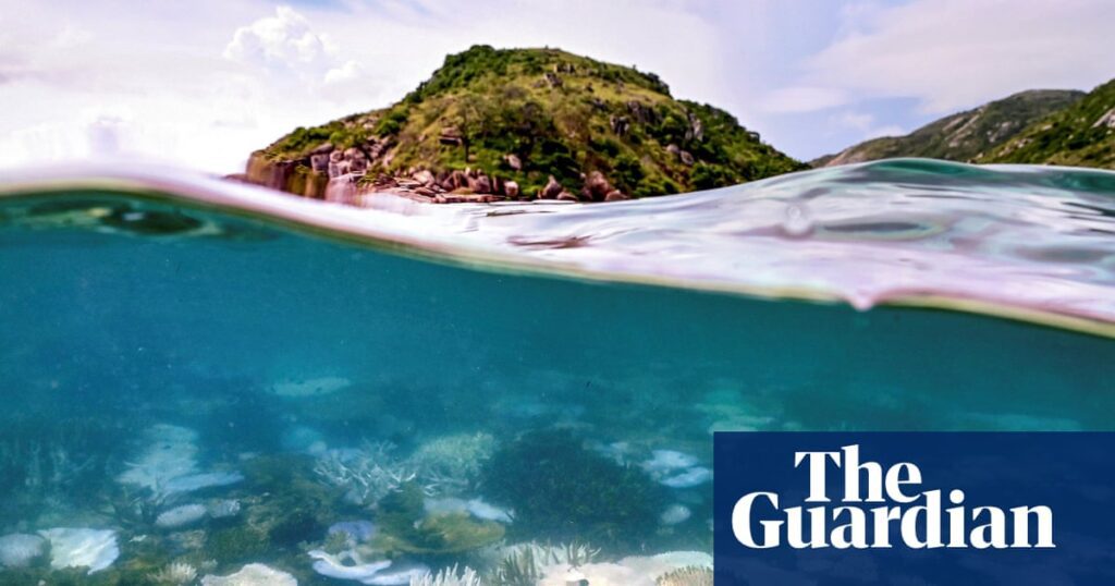 Earth Hits Major Climate Tipping Point Threatening Coral Reefs