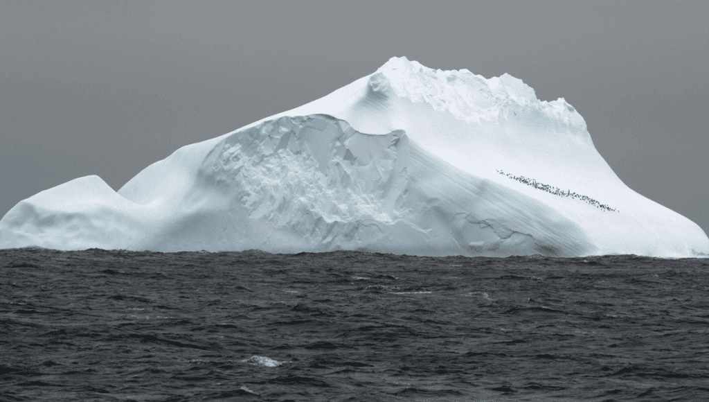 Earth's Major Ocean Current Changes Course, Transforming Ecosystems