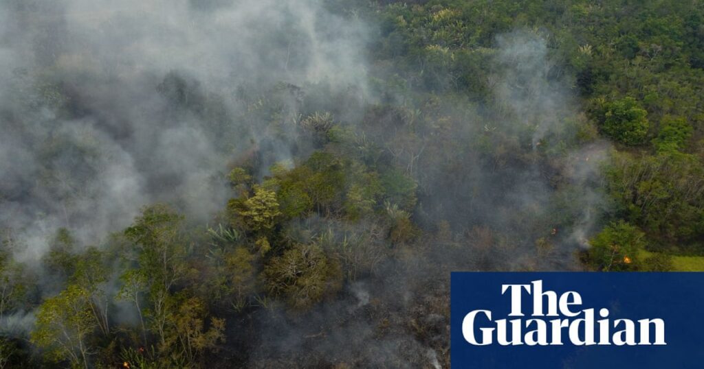 Forests At Risk: A Global Health Threat For Humanity