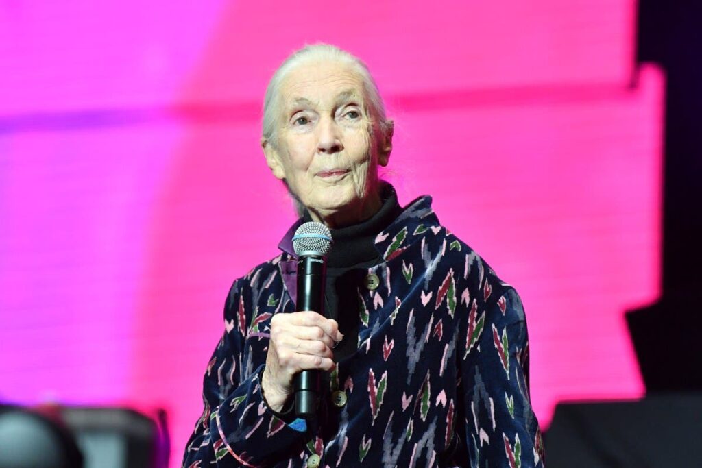 Jane Goodall's Cause Of Death Uncovered