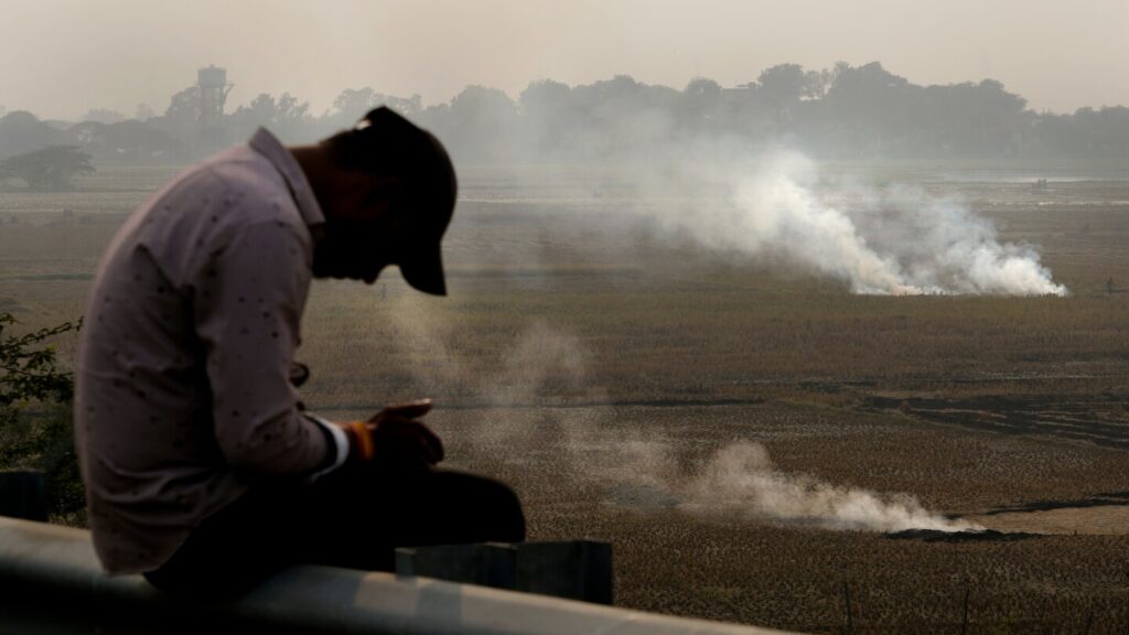 Record High Co2 Levels Confirmed By Un Agency