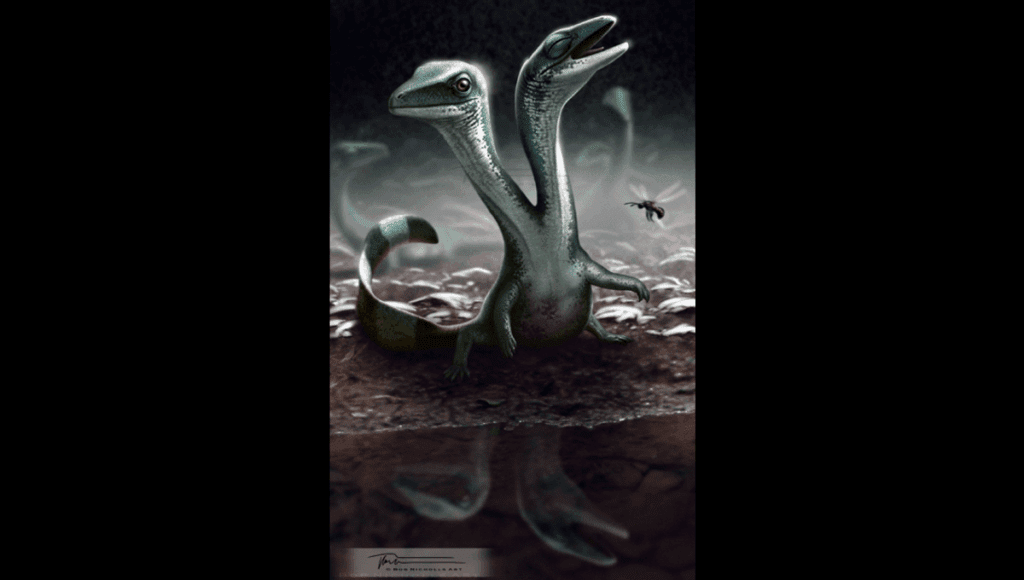 Remarkable 125 Million Year Old Two Headed Reptile Fossil Discovered