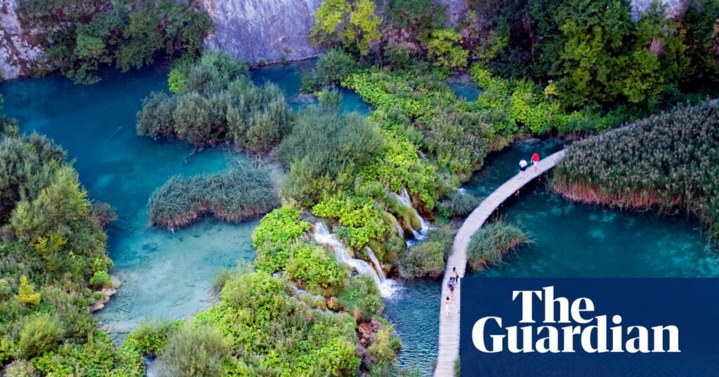 Travel Green With Brave: Carbon Offsetting And Emission Goals
