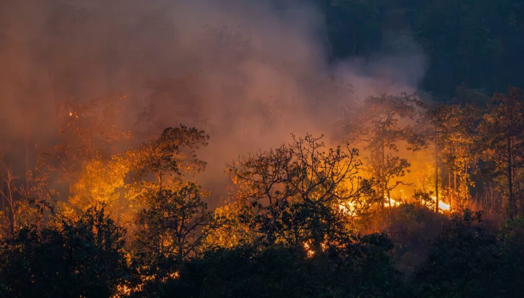 A New Study Uncovers A $1 Billion Crisis Impacting Us