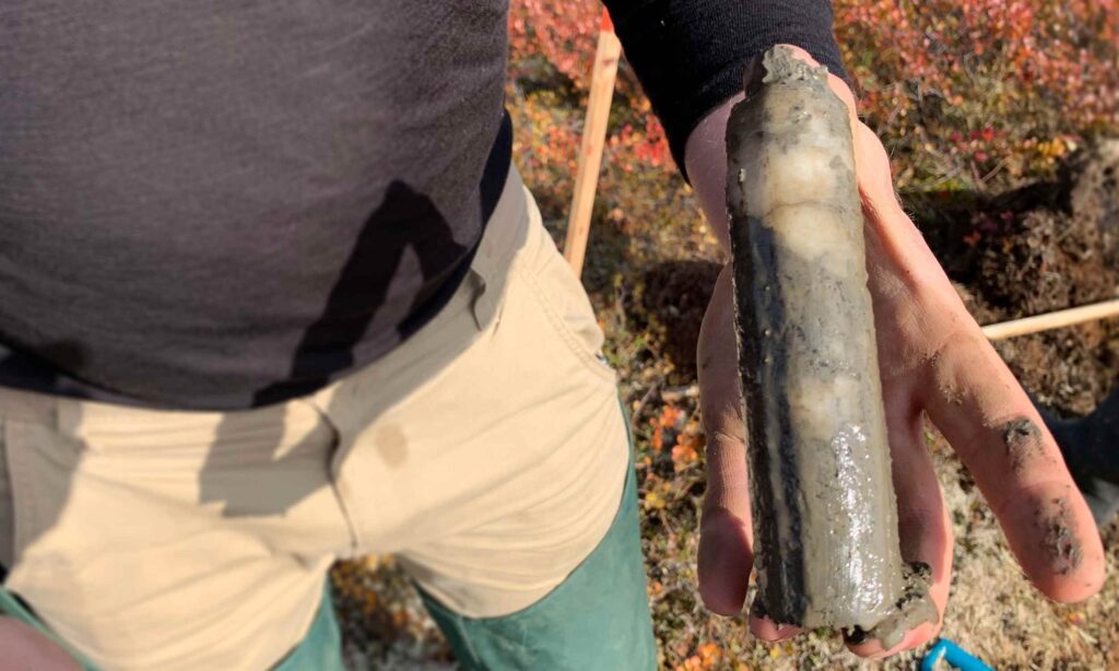 Ancient Microbes Revived: 40,000 Years In Ice, Now Feasting On