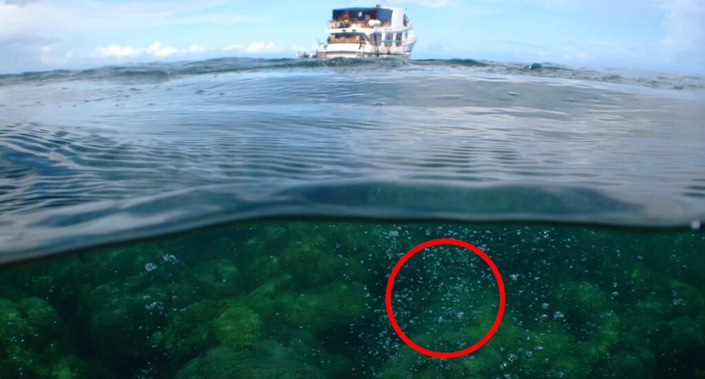 Australia Faces Urgent Foam Warning Near Submarine Volcano