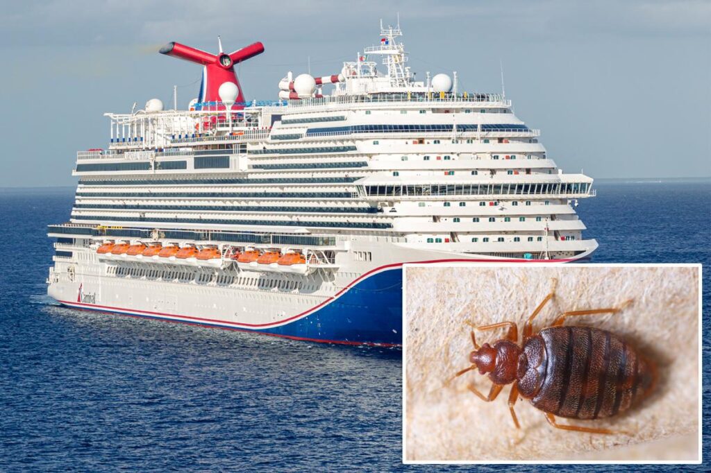 Carnival Cruise Passengers Sue After Waking Up Covered in Bed Bug Bites Carnival Cruise Passengers Sue After Waking Up Covered In Bed