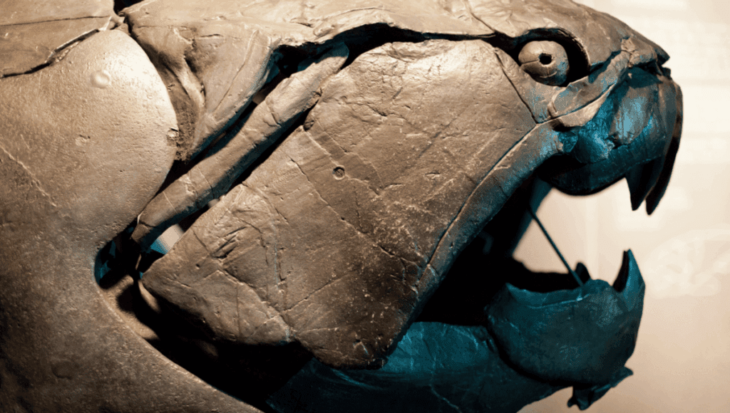 Discover Dunkleosteus, The Ancient Sea Beast Of Cleveland