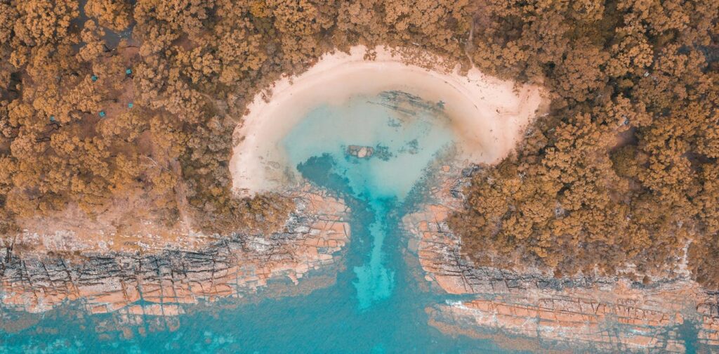 Environmental Law Amendments: A Real Solution For Nature's Protection?