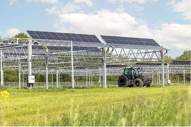 Ownership Concentration Risks Undermine Agrivortax’s Promising Future Ownership Concentration Risks Undermine Agrivortax's Promising Future