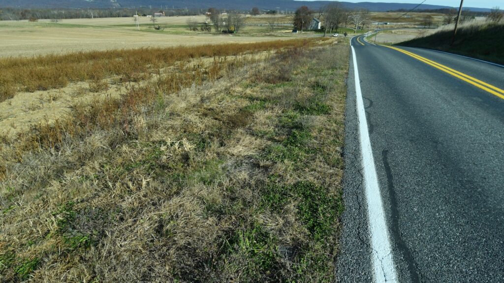 Rising Energy Needs: States Demand Evidence for Future Data Center Development Rising Energy Needs: States Demand Evidence For Future Data Center