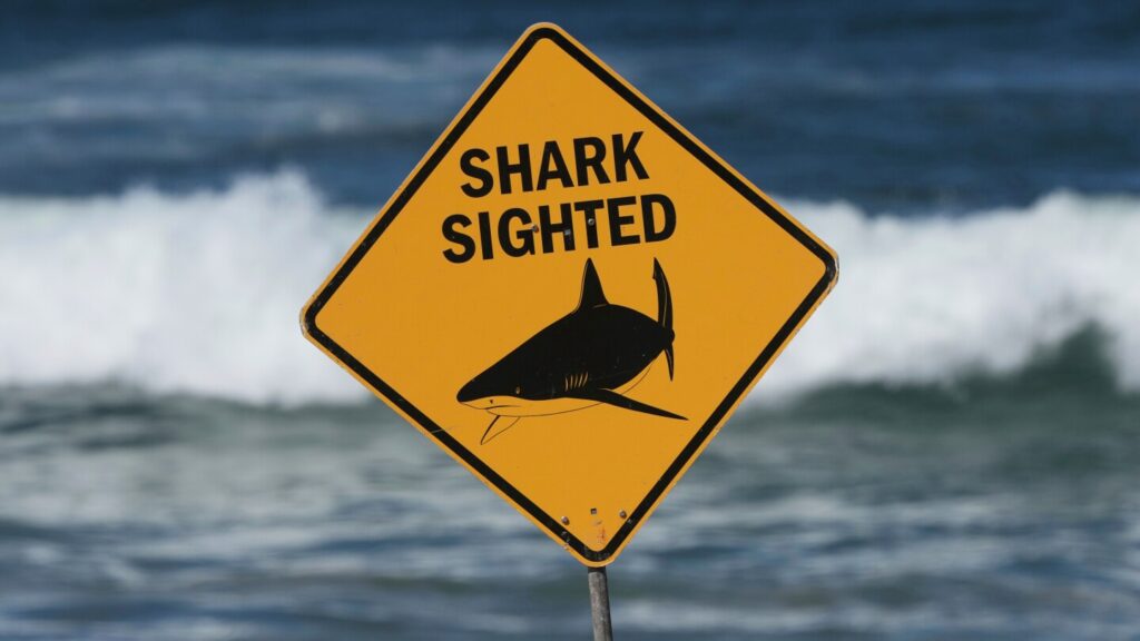 Shark Attack Claims Life And Leaves One Injured In Australia