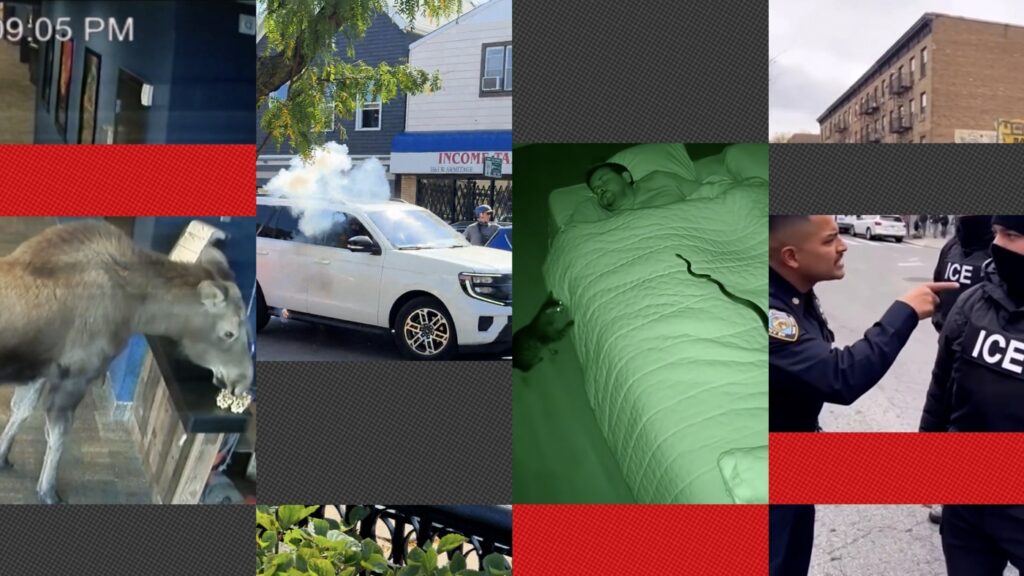 Test Your Skills: Distinguish Between AI-Generated and Real Videos Test Your Skills: Distinguish Between Ai Generated And Real Videos