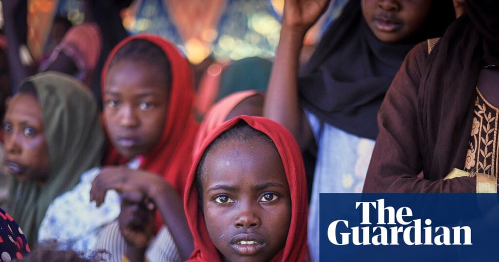 UAE’s Response to Criticism: Withdrawal from Sudan’s RSF Militia Under Consideration Uae's Response To Criticism: Withdrawal From Sudan's Rsf Militia Under