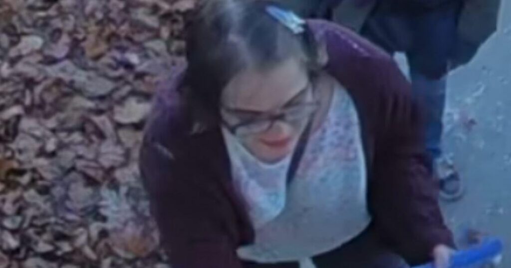 Wisconsin Slender Man Stabber's Friends Arrested In Illinois For Obstruction