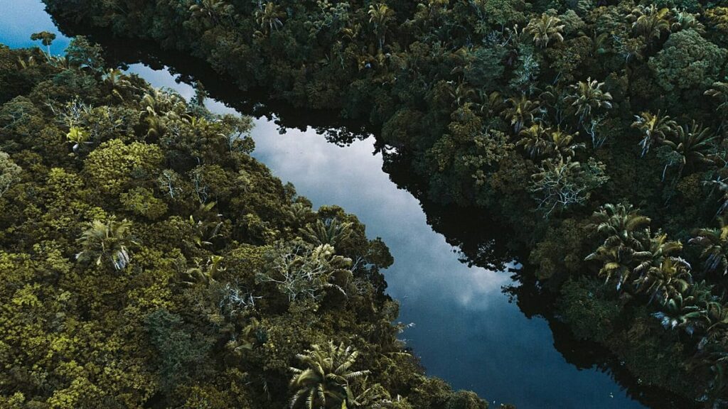 Amazon At Risk: High Temperature Droughts Threaten Tropical Climate By 2100