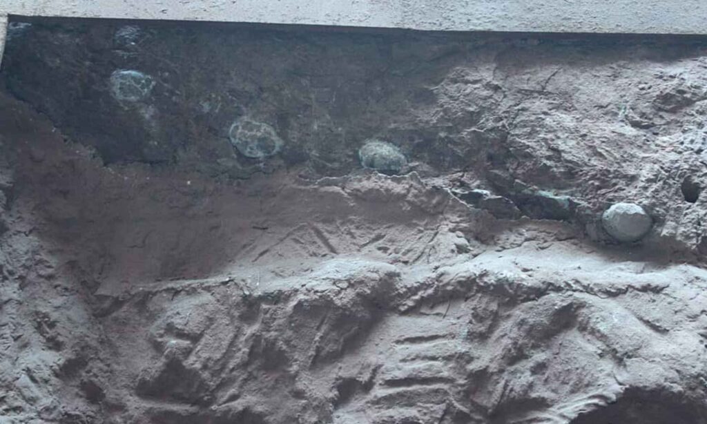 Dinosaur Egg Shaped Treasure Chest Of Giant Crystals