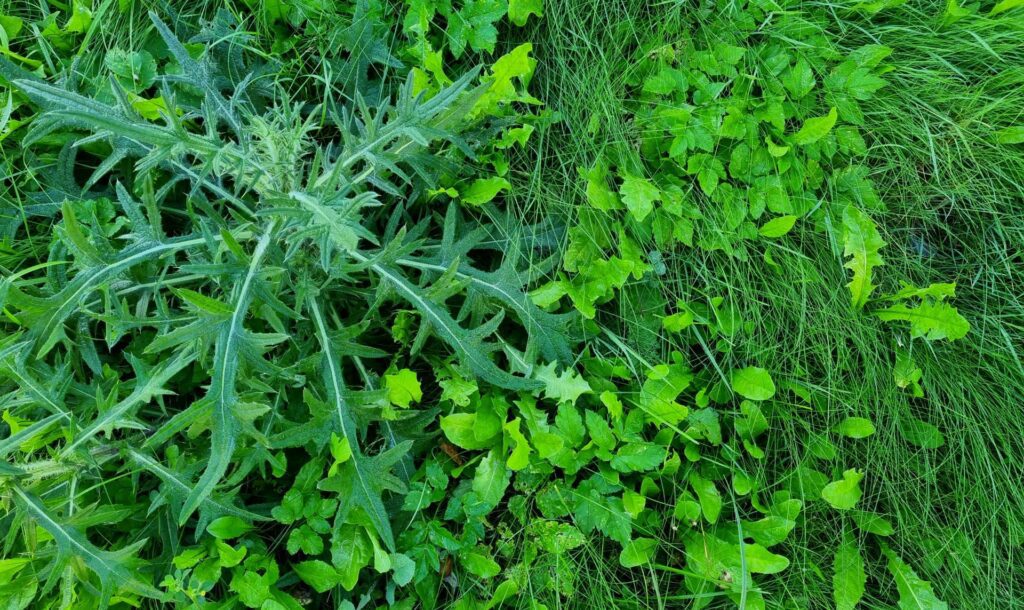 Energizing Strategies For Everyday Success