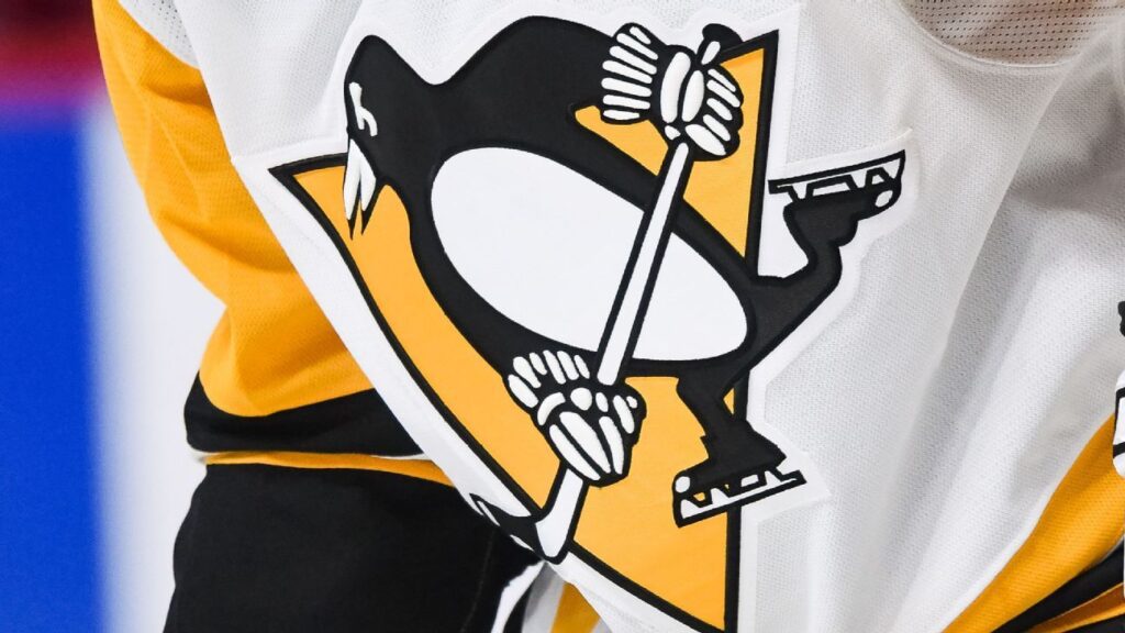 Fenway Sports Group Sells Penguins to Hoffman Family Fenway Sports Group Sells Penguins To Hoffman Family