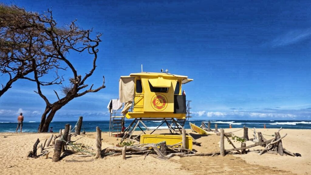 Maui to Cut Thousands of Vacation Rentals Maui To Cut Thousands Of Vacation Rentals