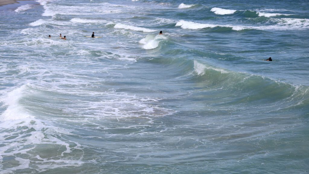 Ocean In The Balance