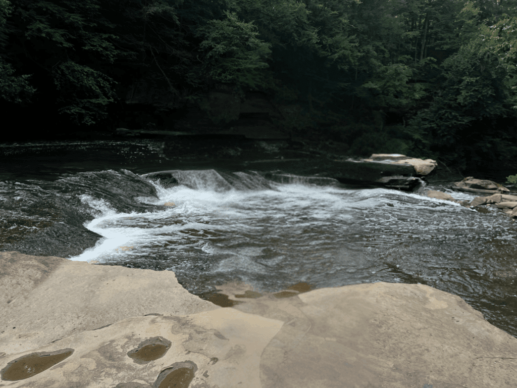 Ohio Faces Potential Loss of Protection for Most Wetlands and Streams Ohio Faces Potential Loss Of Protection For Most Wetlands And