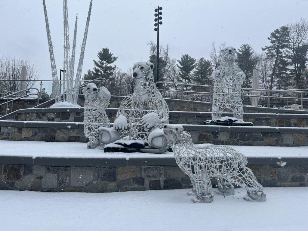 Snow Forecast for DC This Weekend Snow Forecast For Dc This Weekend