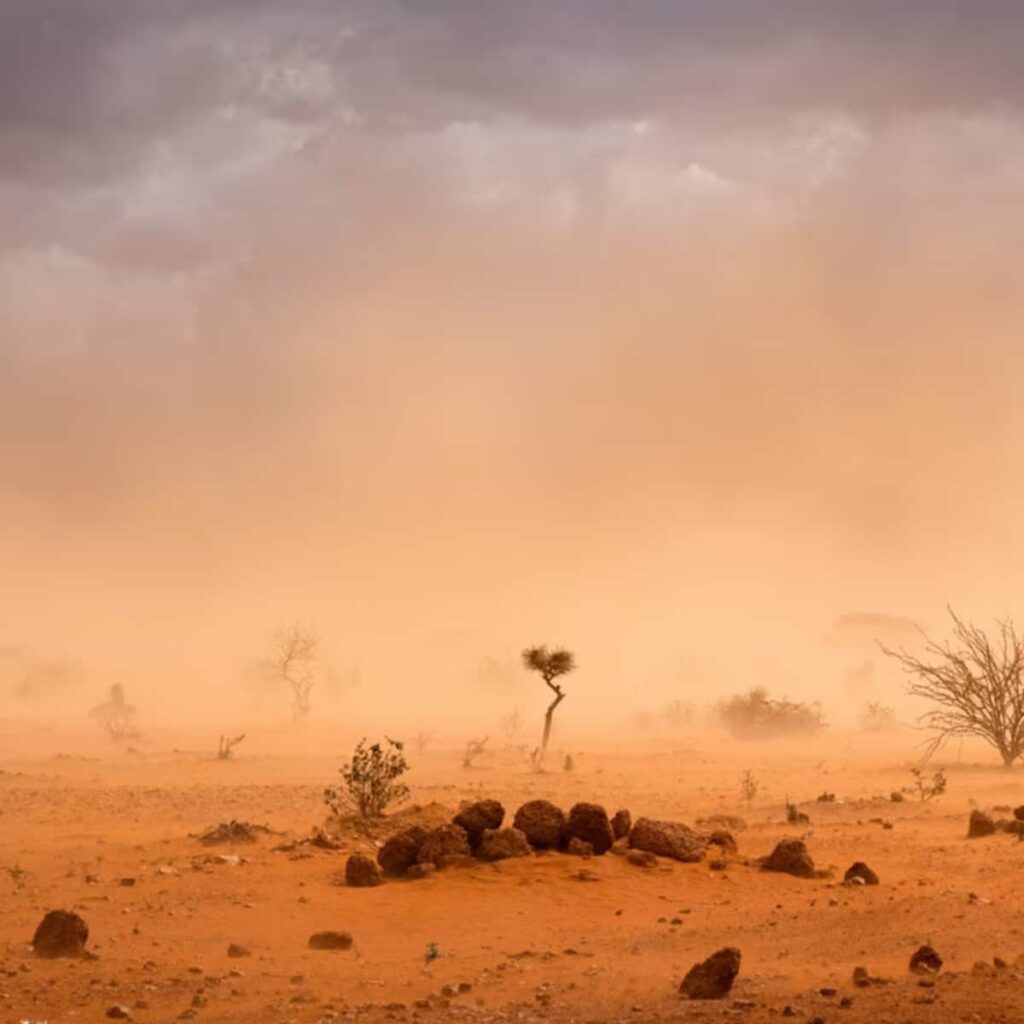 Africa At Risk: The Urgent Threat Of Extreme Weather