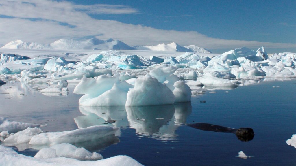 Antarctica: Subtle Shifts That Could Alter Our Planet's Future