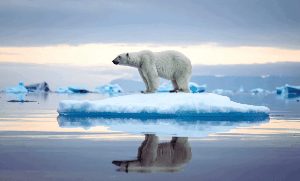 Arctic Faces Uncharted Territory of Extreme Weather Arctic Faces Uncharted Territory Of Extreme Weather