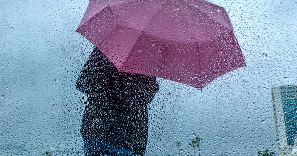 California Celebrates Its First Drought Free Year In 25 Years