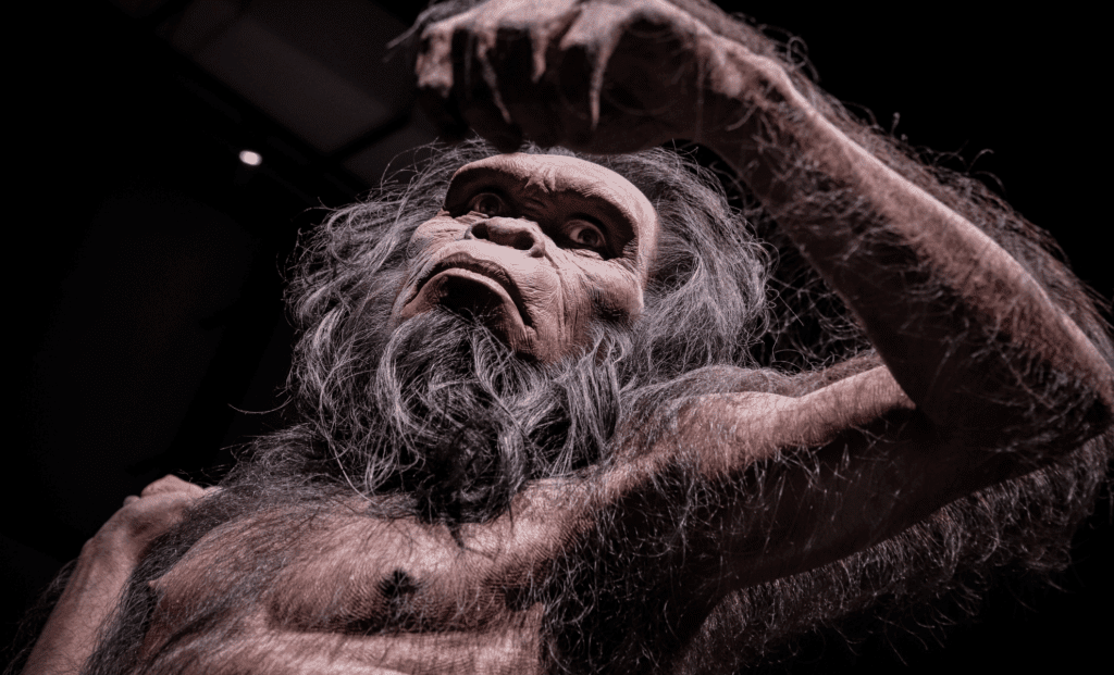 Discovery Explains the Surprising Reasons Behind Human Hair Loss Discovery Explains The Surprising Reasons Behind Human Hair Loss