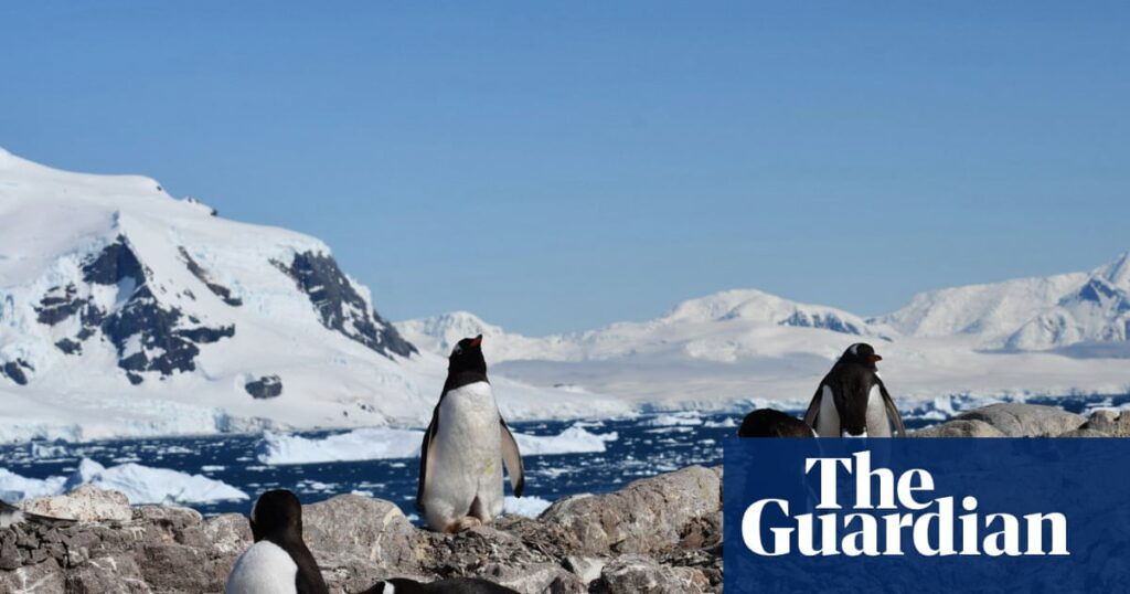 Penguins Adapt: Breeding Season Shift in Response to Climate Change Penguins Adapt: Breeding Season Shift In Response To Climate Change