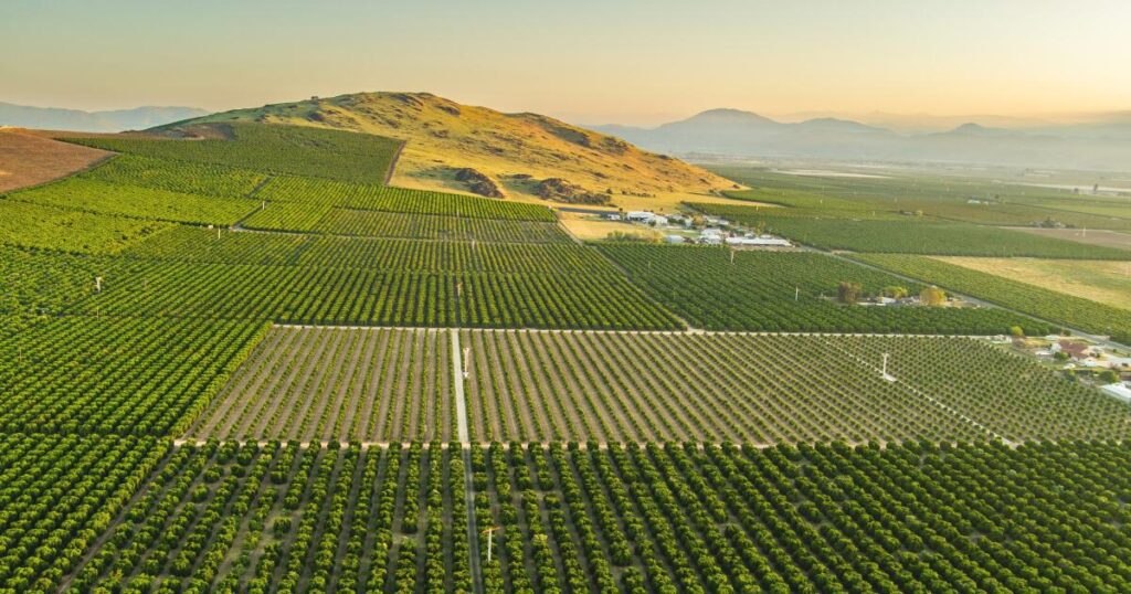 The Global Water Crisis: UN Scientists Warn of Impending Bankruptcy The Global Water Crisis: Un Scientists Warn Of Impending Bankruptcy