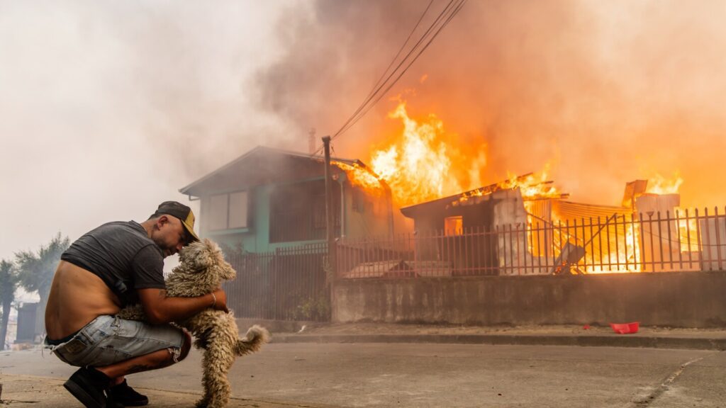 Wildfires Ravage South-Central Chile, Leaving 18 Dead and Thousands Displaced Wildfires Ravage South Central Chile, Leaving 18 Dead And Thousands Displaced