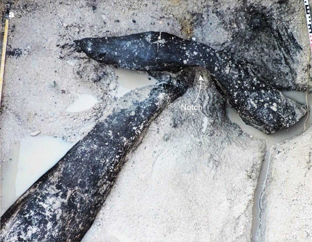 Ancient Timber: The Oldest Wooden Structure Predates Humans by 200,000 Years Ancient Timber: The Oldest Wooden Structure Predates Humans By 200,000