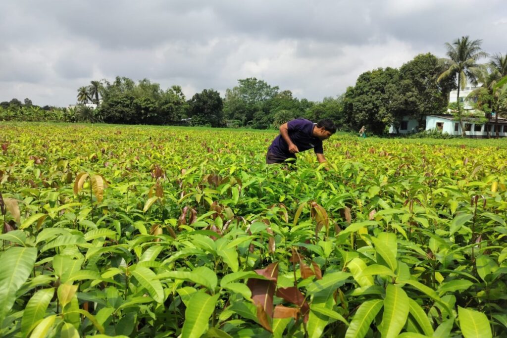 Varaha Invests $20 Million To Boost Carbon Reduction Initiatives In