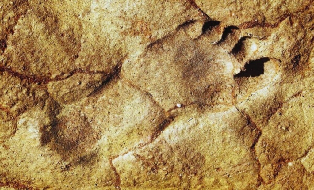 Ancient Footprints Uncovered In Uncharted Territory: A 120,000 Year Old Mystery