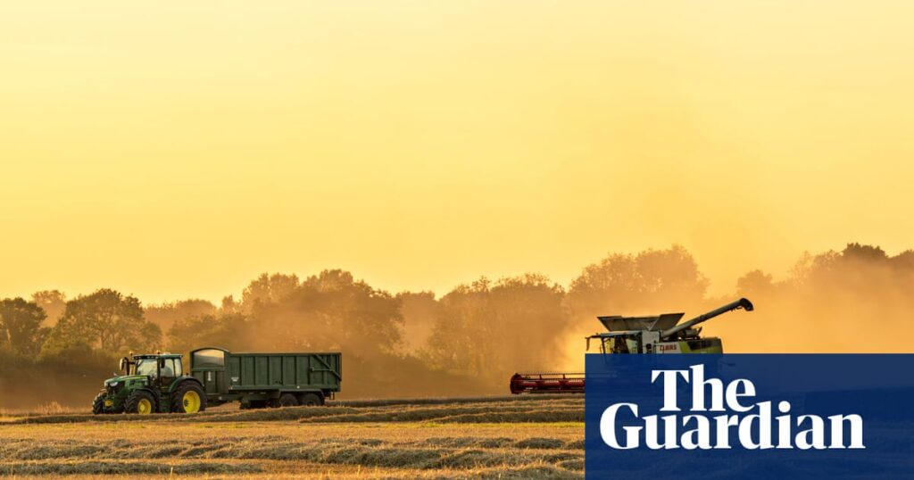 Experts Urge Food Stockpiling For Climate Resilience And Global Stability