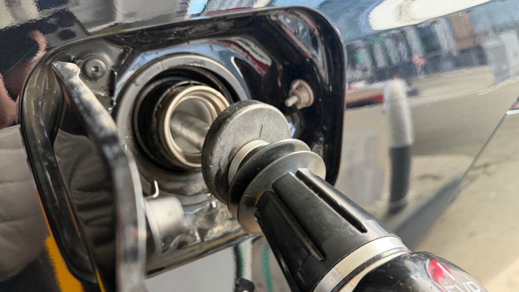 How Climate Change Laws Have Escalated The Crisis