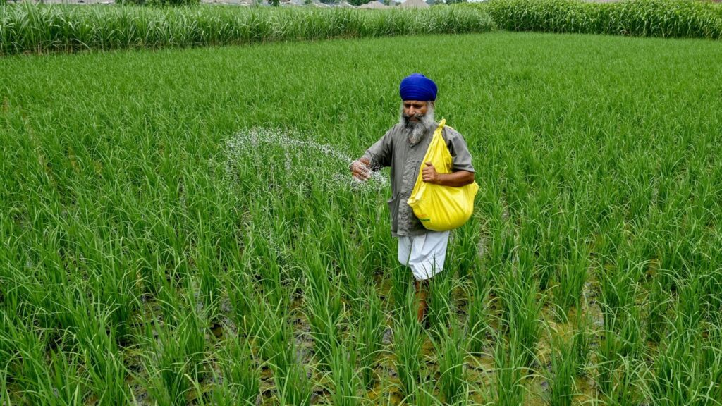 Iran Conflict's Ripple Effect On Global Food Security