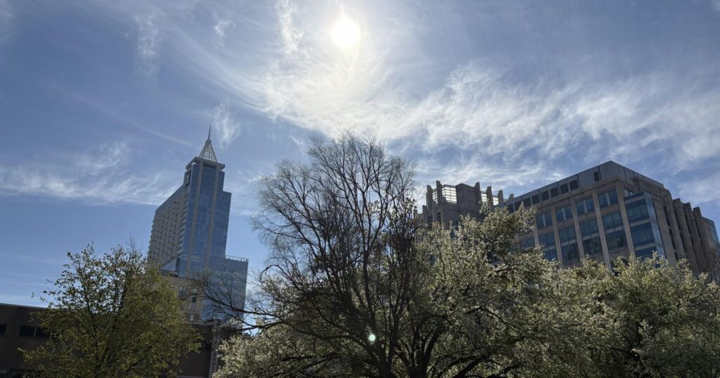 Planting More Trees To Combat Raleigh's Urban Heat Island, Experts