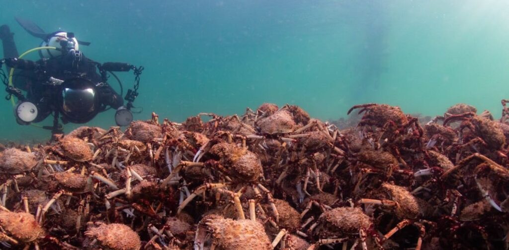 Discover 5 Simple Ways To Step Into Citizen Science