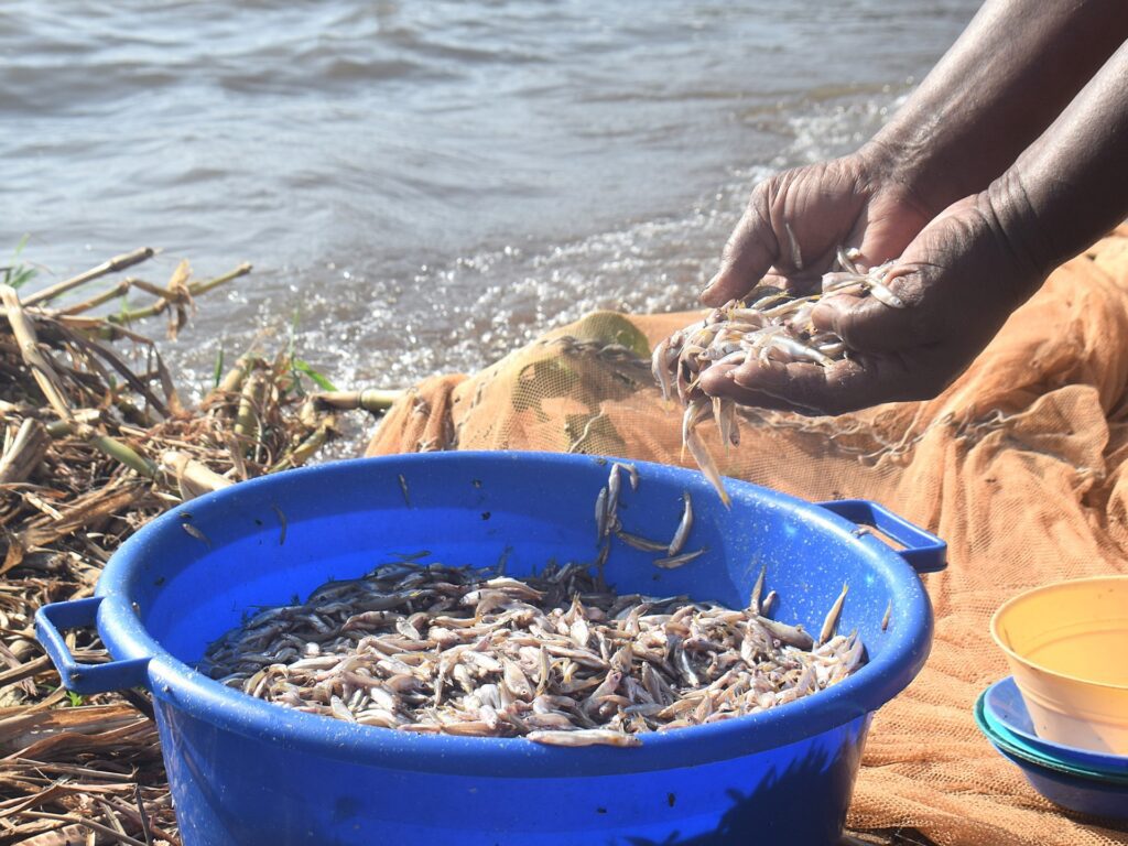 Kenyan Women Break Fishing Taboos To Combat Climate Change At