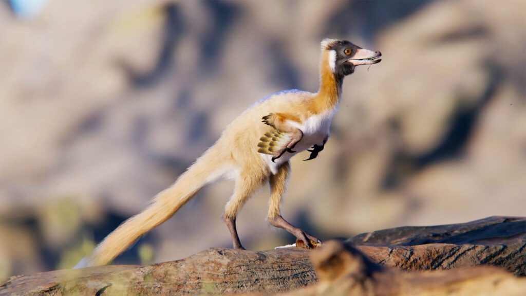 Mysterious Bird Like Dinosaur Challenges Evolutionary Beliefs