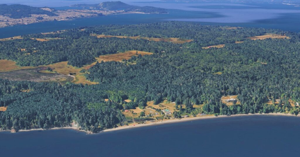 Mysterious Discovery: 21 Dead Dogs Found On Washington Island