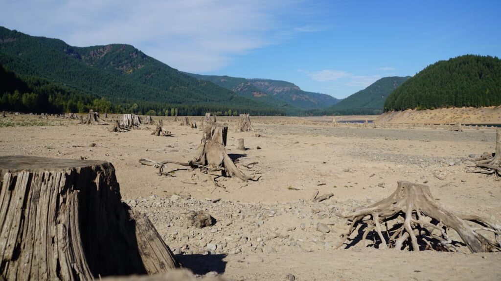 Oregon Braces For Rising Drought And Wildfire Risks Amid Noaa's