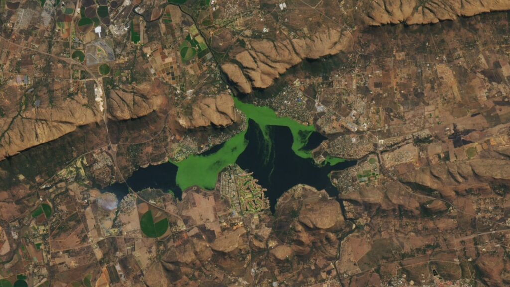 Vibrant Green Blob Takes Over South Africa's Reservoirs: A Stunning