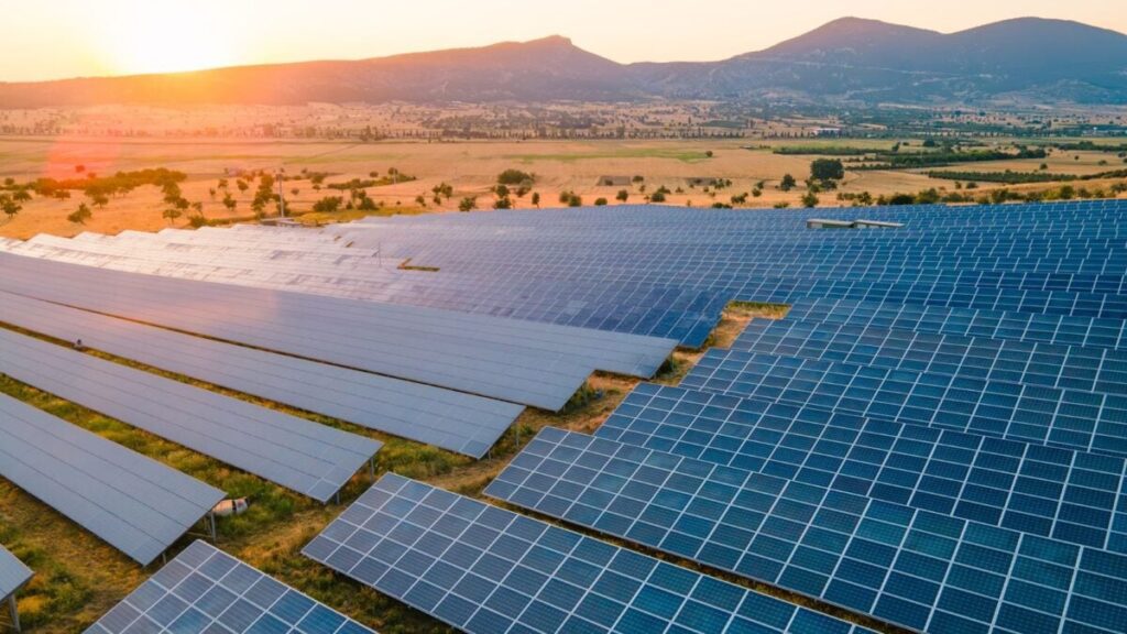 Affordable Solutions: Renewable Energy Outpaces Carbon Capture In The Fight