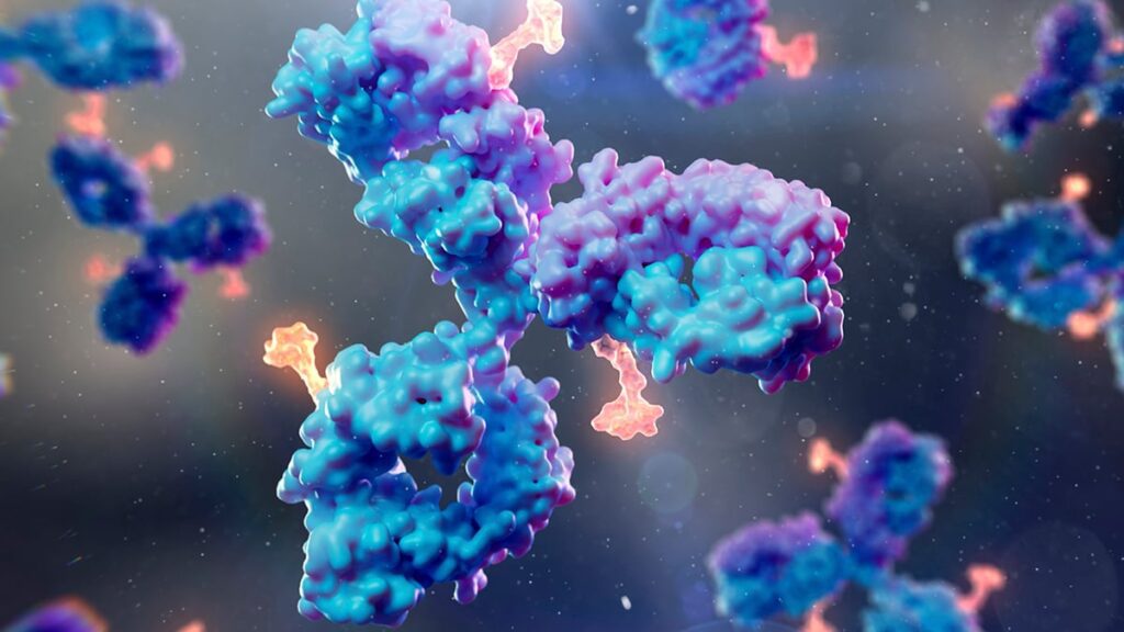 Breakthrough Antibody Targets Virus Widespread In 95% Of Population